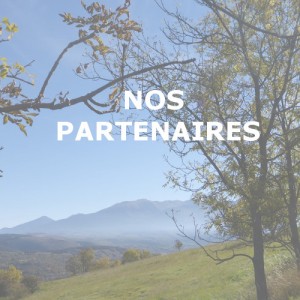 partenaires